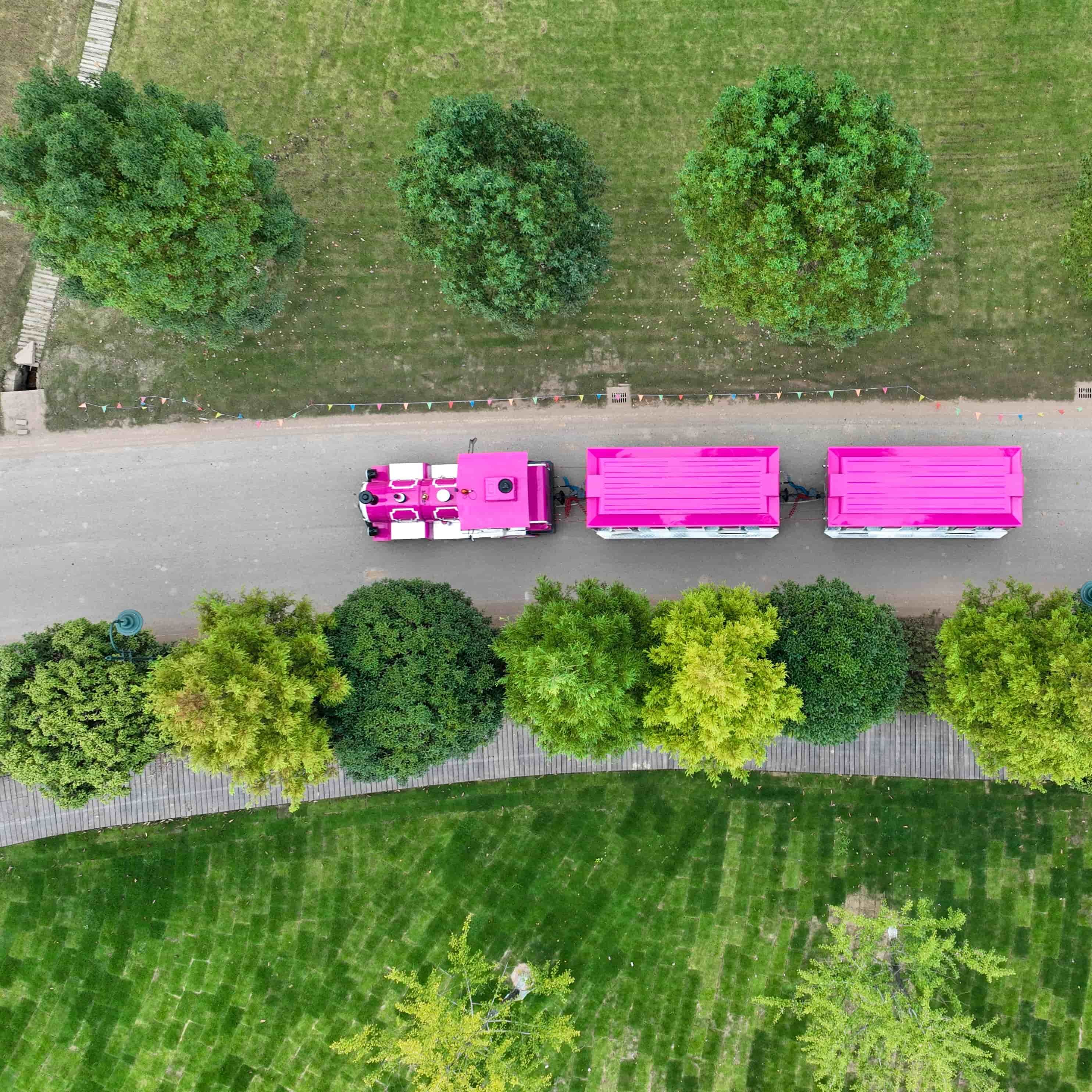 What Makes Mini Train Rides a Trending Attraction for Family-Friendly Venues?