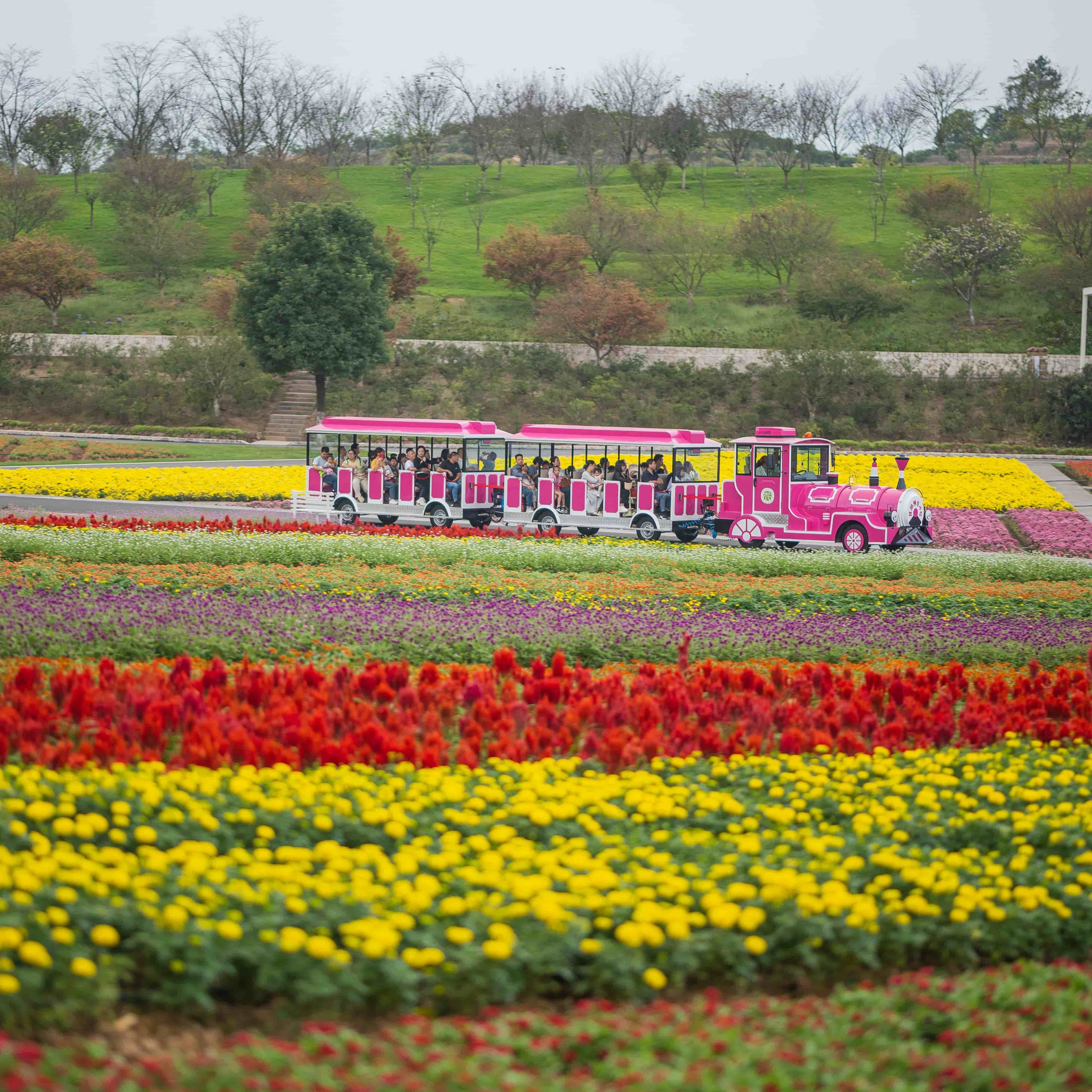 How to Choose the Best Outdoor Train for Your Business Needs
