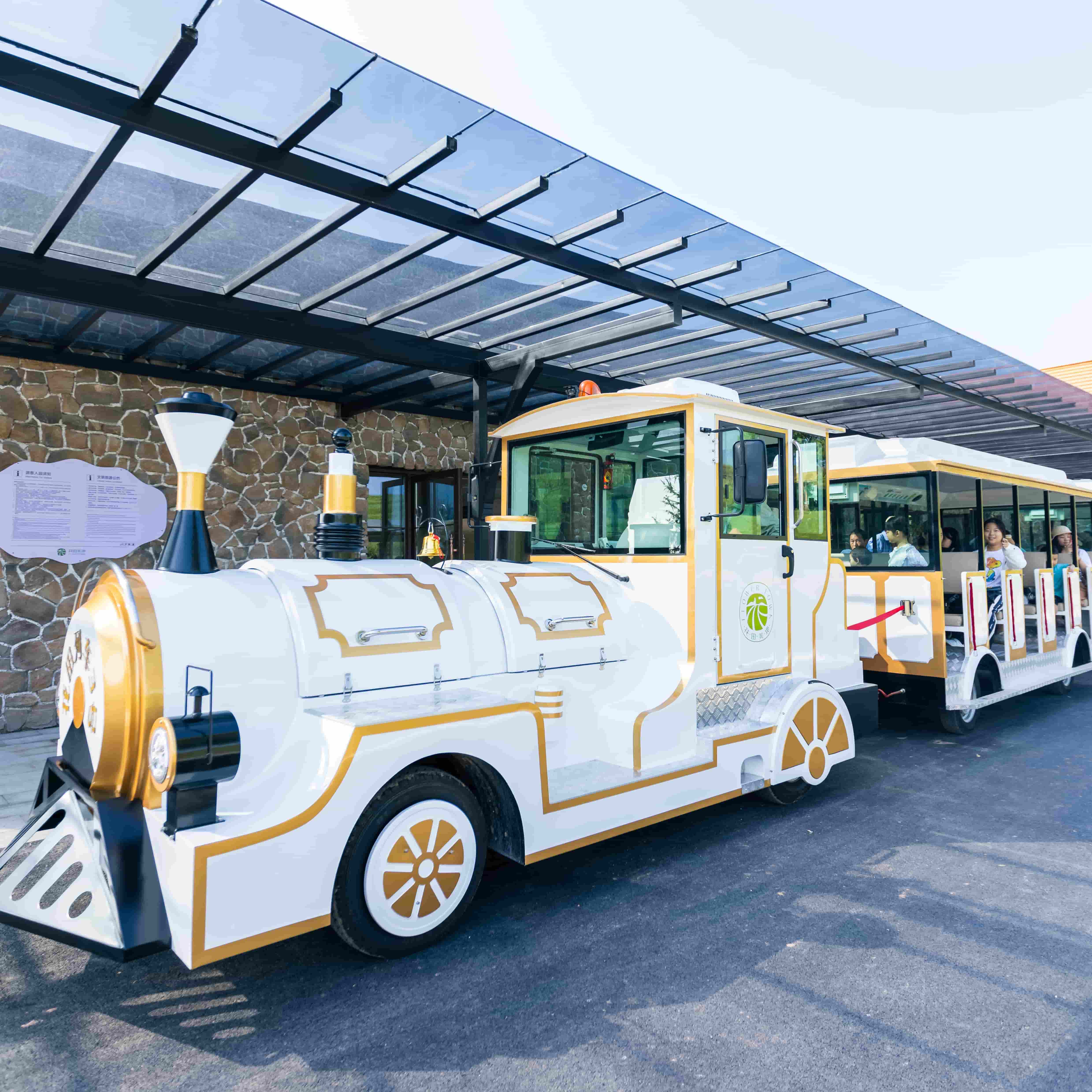 What Are the Common Issues with Ride-On Trains and How to Solve Them?