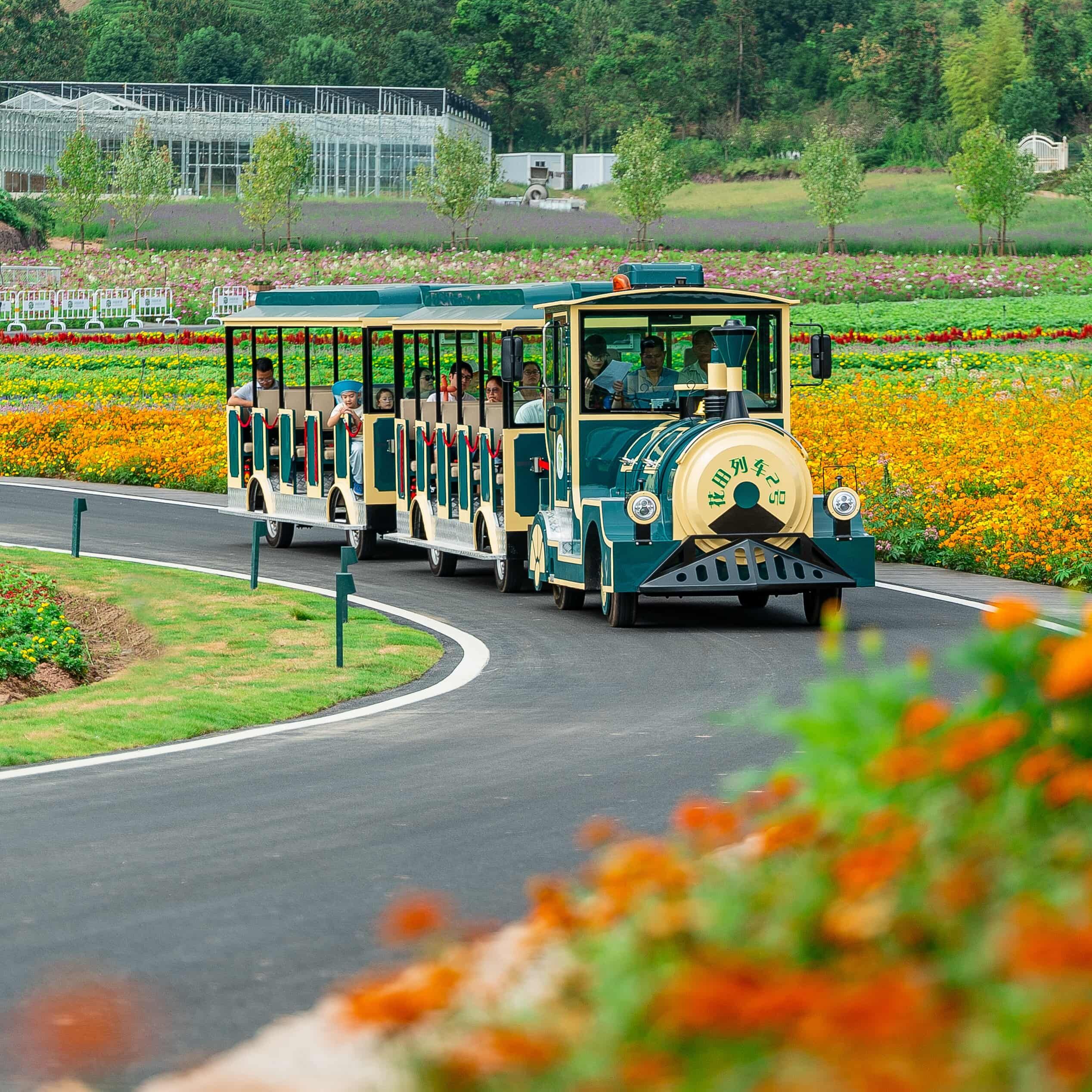 How to Choose the Right Train Service for Your Weekend Getaway