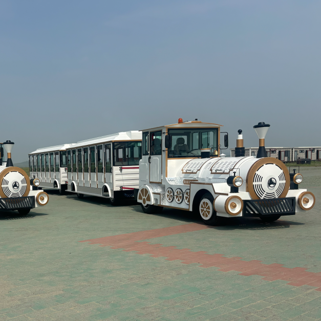 What Are Common Issues When Operating Sightseeing Trains?