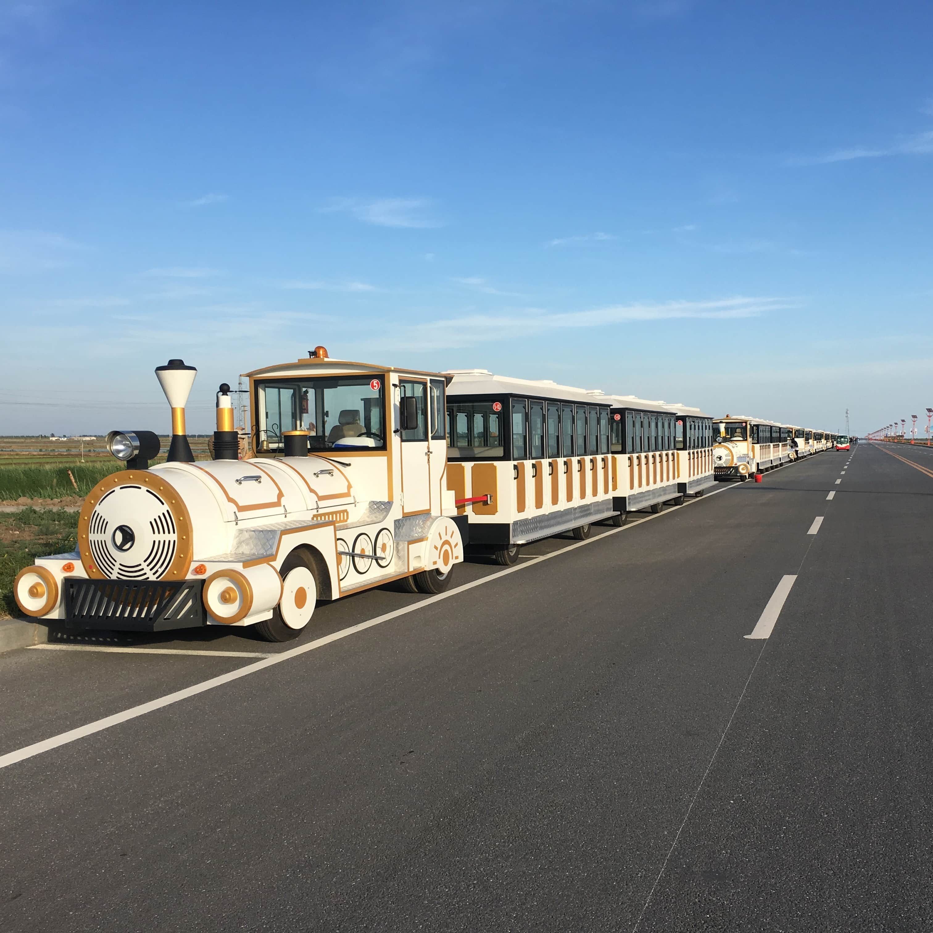 How to Choose the Right Royal Trackless Train for Your Needs