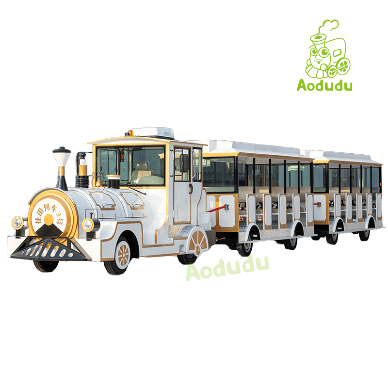 What Common Issues Do Buyers Face When Purchasing Electric Locomotives?