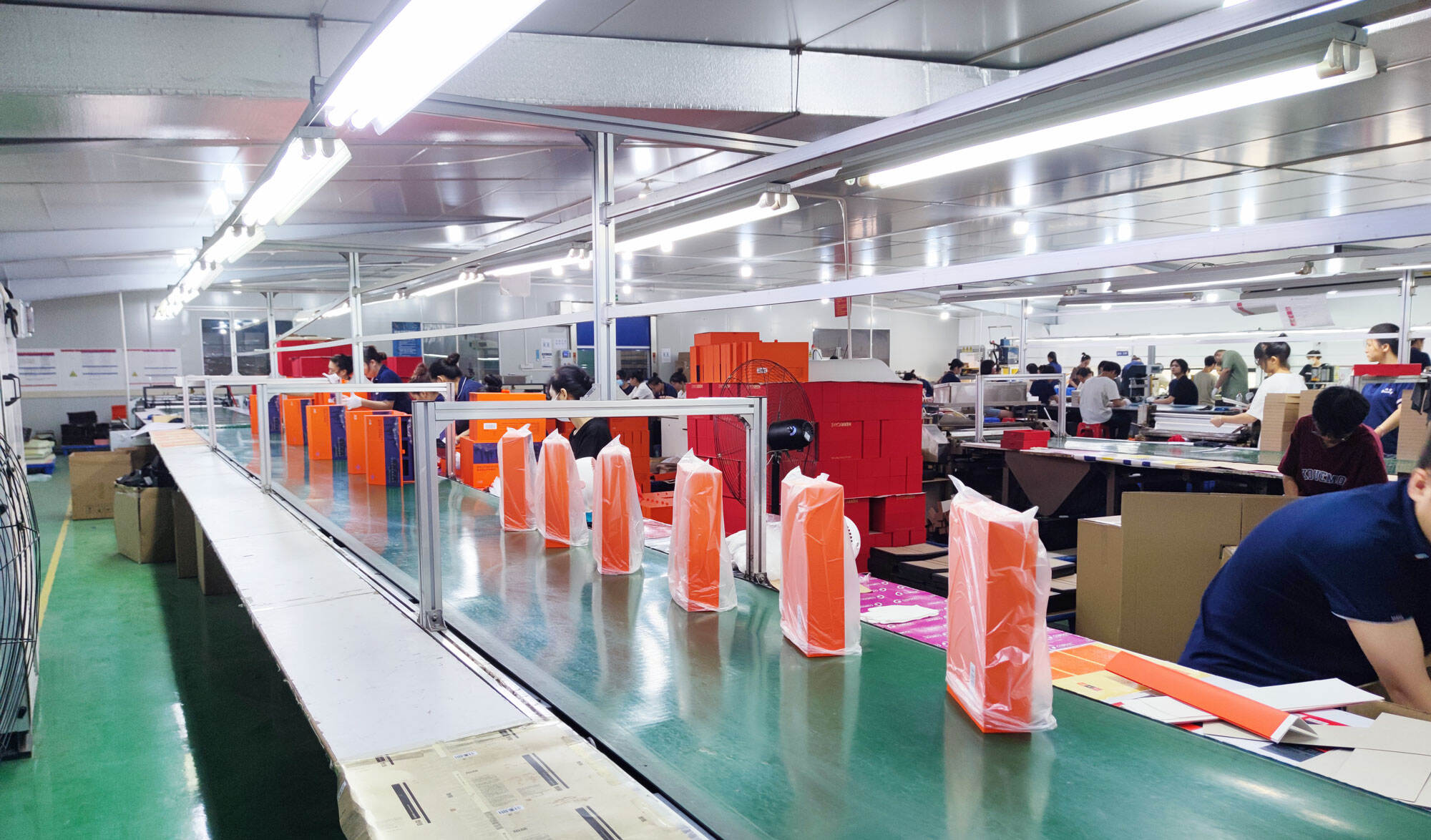 Guangdong Bosing Paper Packaging & Printing Co., Ltd.