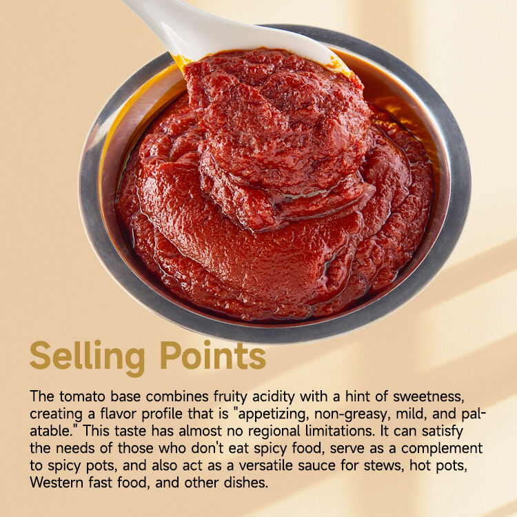 Premium Tomato Sauce for Culinary Excellence