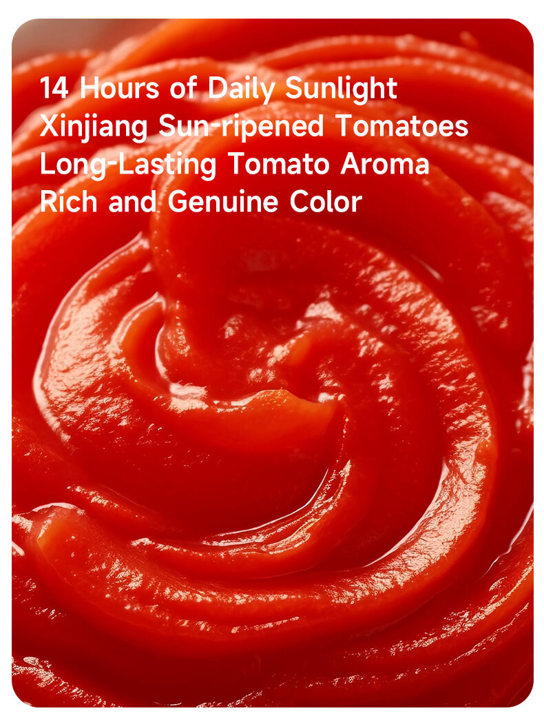 Premium No Onion Tomato Sauce for Culinary Excellence