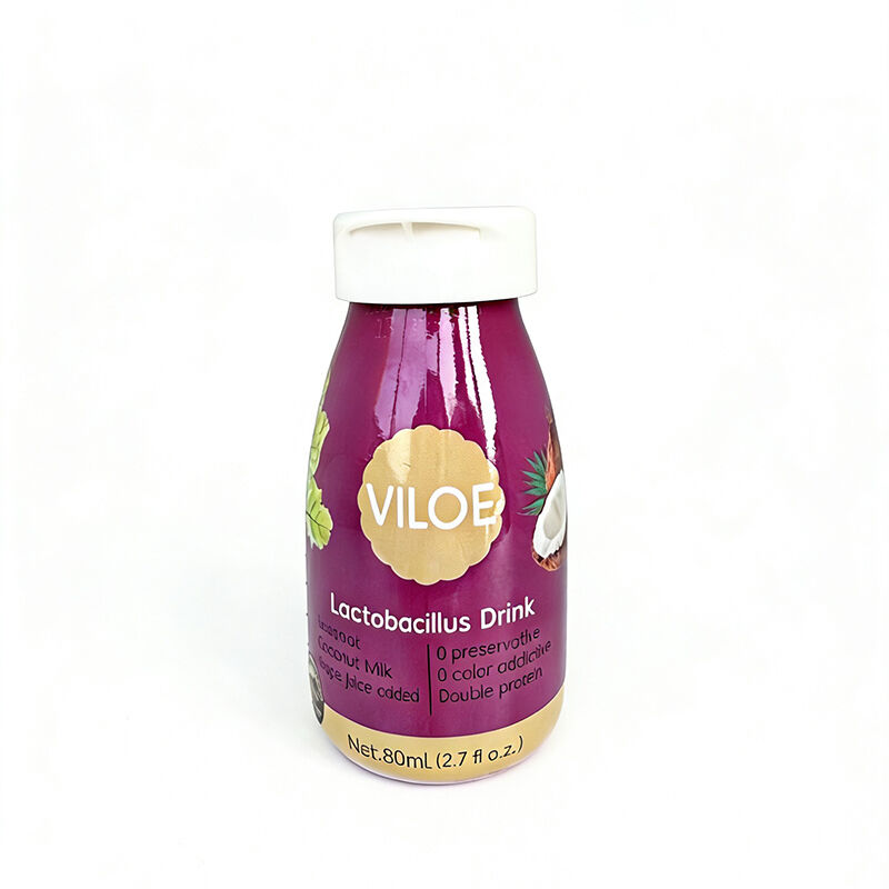 Lactobacillus Coconut Milk Drinks