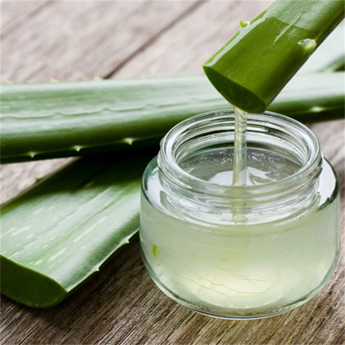 Aloe Vera Medicinal