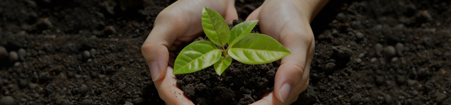 Environment-Ningbo Enrich Life Biotech Co., Ltd.