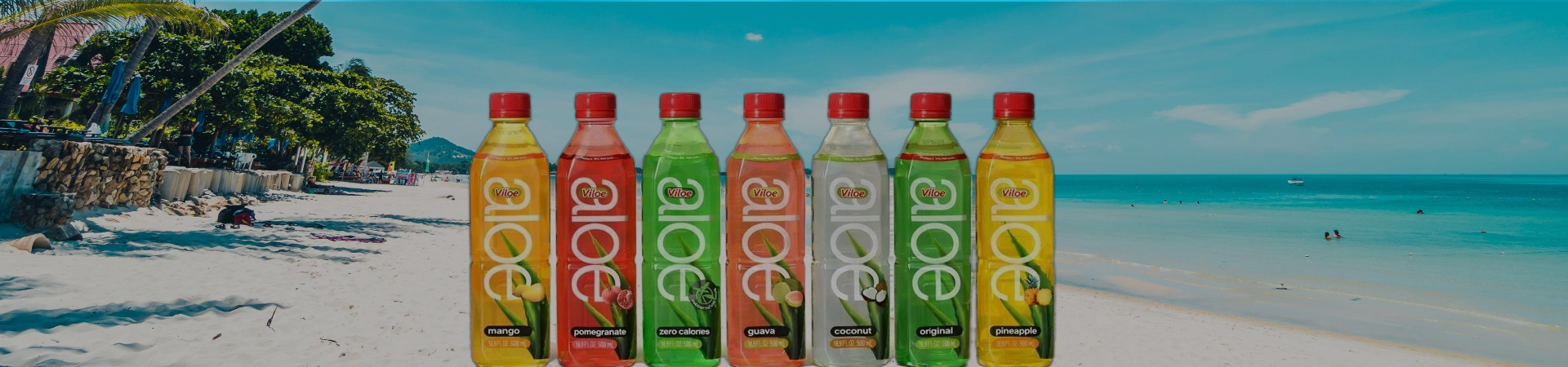 pineapple   aloe vera drinks-0