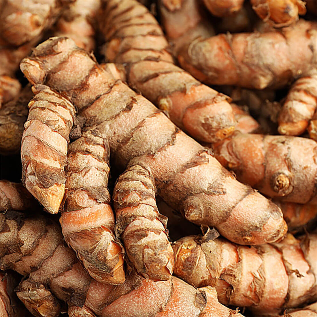 Turmeric