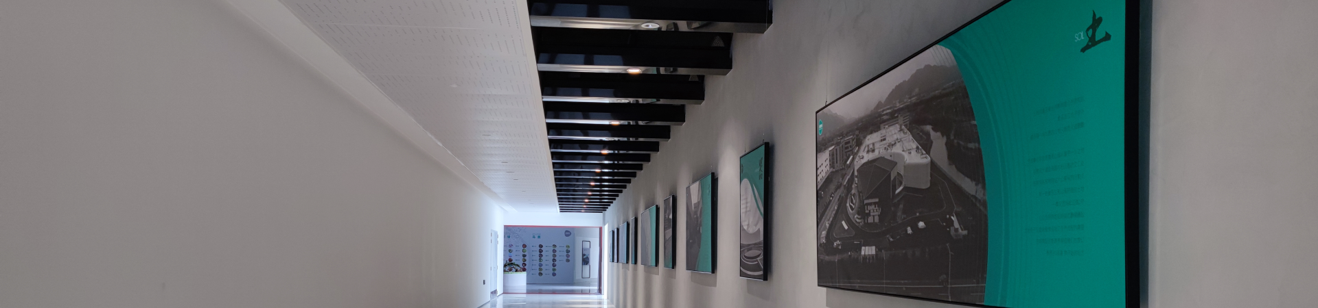 the natural power of turmeric and lemon-0