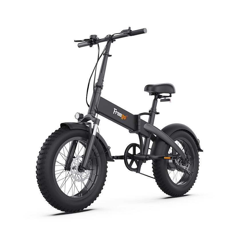 Fat Tire E-bike E1