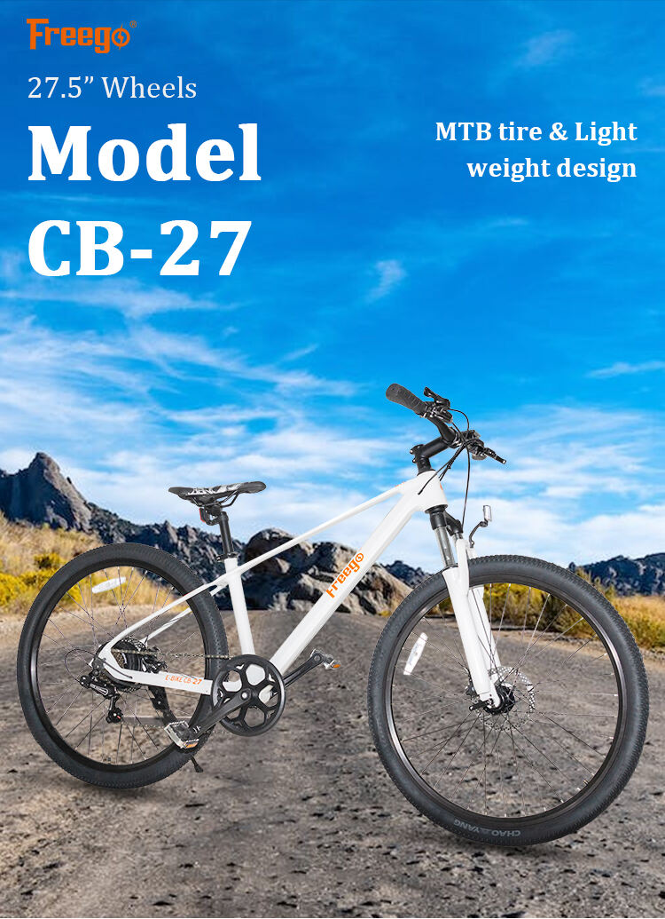 CB-27_01.jpg