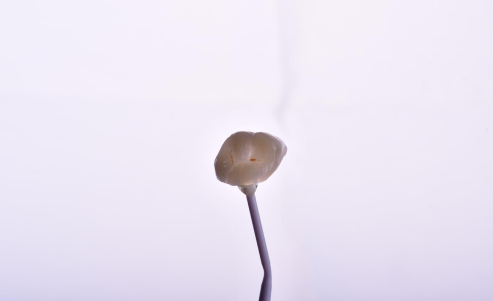 High Translucency Glass Ceramic Inlay · Natural Integration of Function and Aesthetics