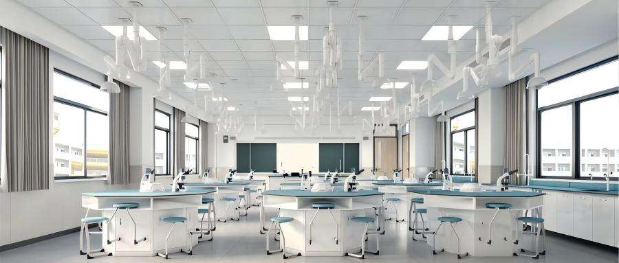 School Project (2).jpg