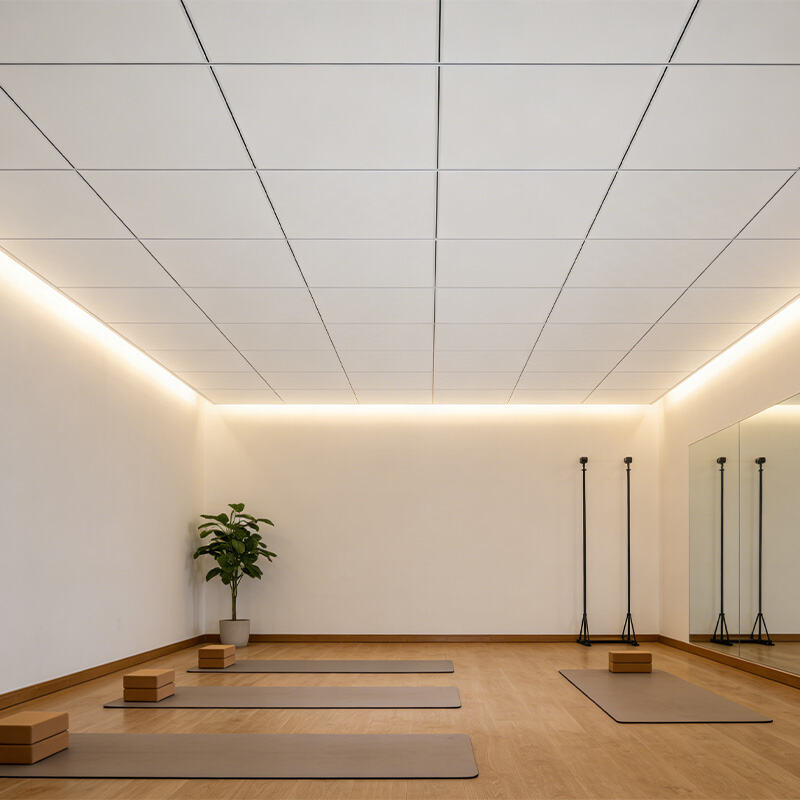 Comprehensive Product Portfolio and Customization Capabilities