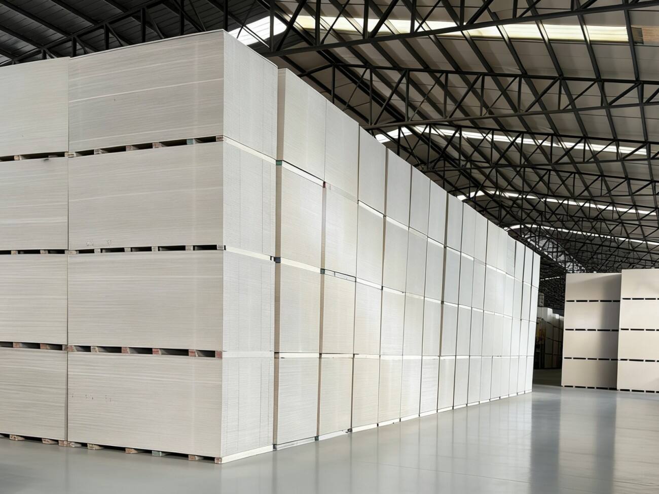 Industry Rising Star (1).jpg