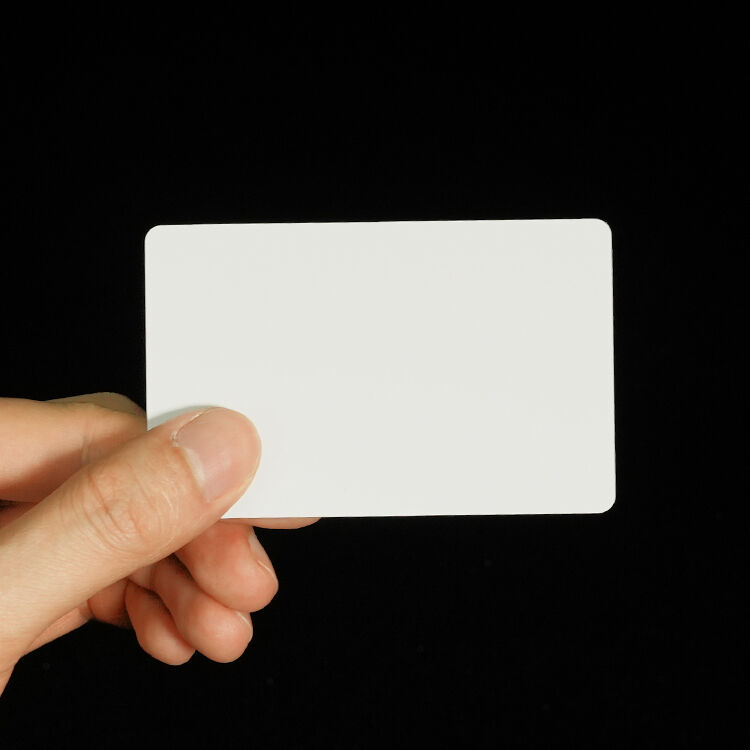 Unmatched Customization Options for Your Brand