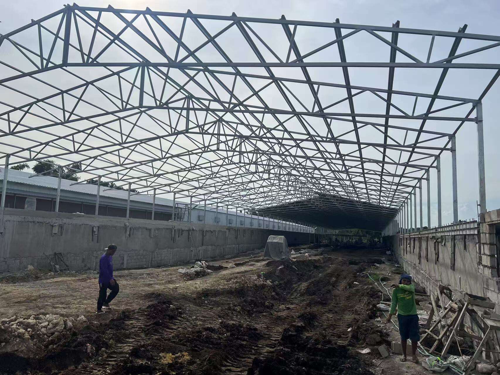 Projet de type sol surélevé pour poulets de chair à Quezon, Philippines
