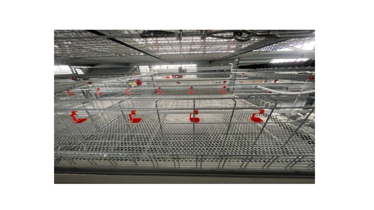 La ventilation est un facteur clé influant sur l'effet d'élevage