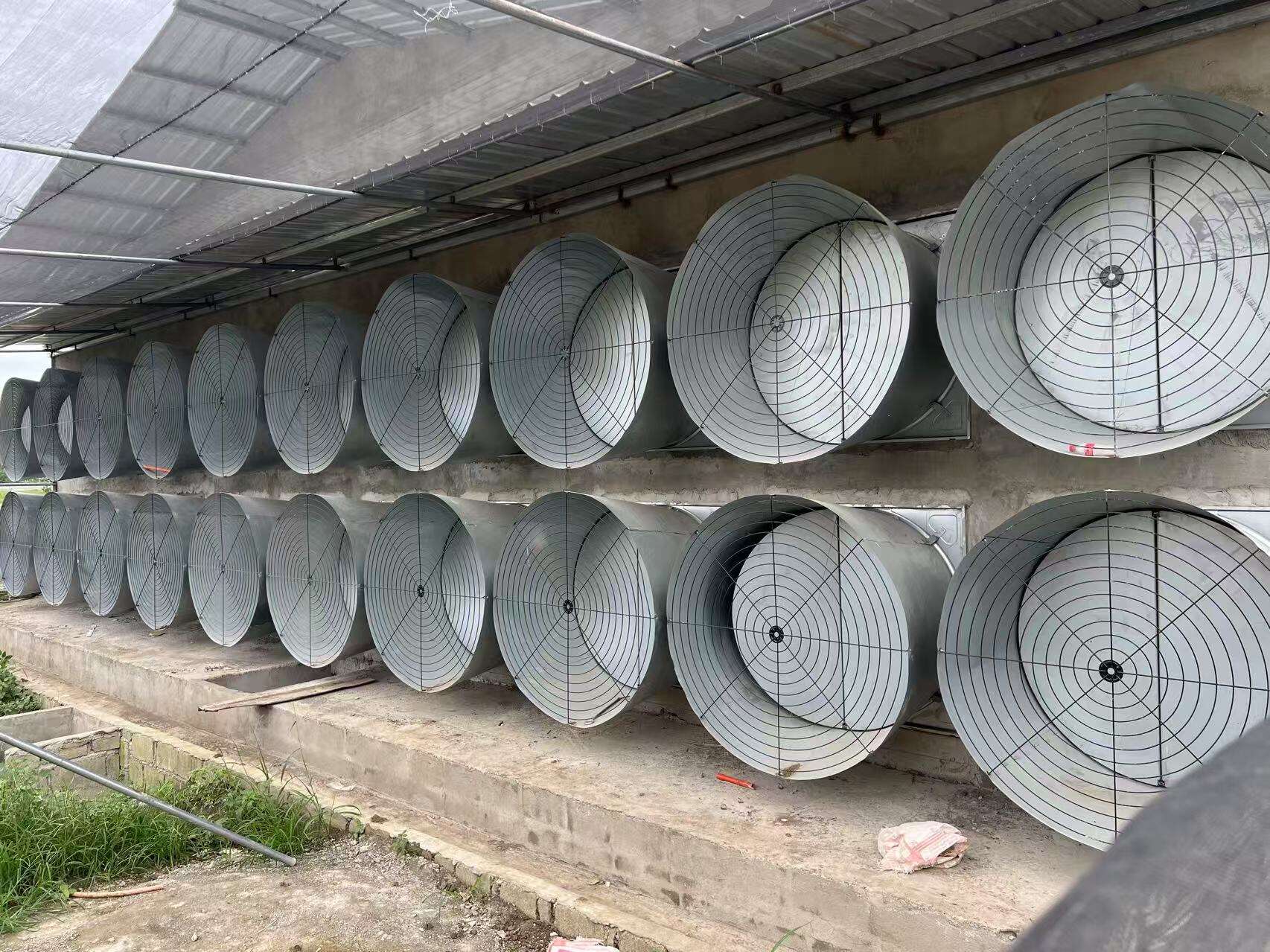 Projet de type sol surélevé pour poulets de chair à Quezon, Philippines