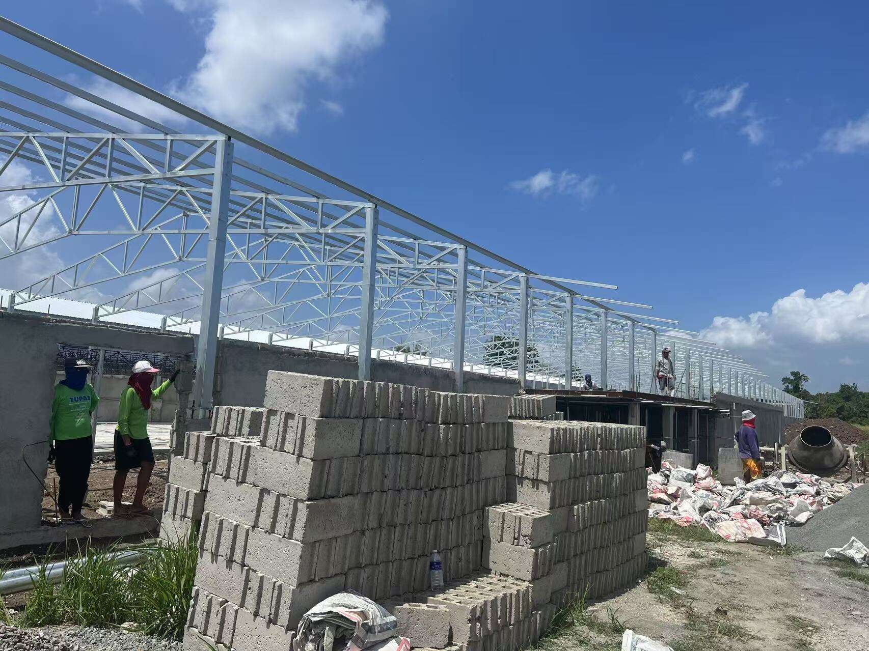 Projet de type sol surélevé pour poulets de chair à Quezon, Philippines
