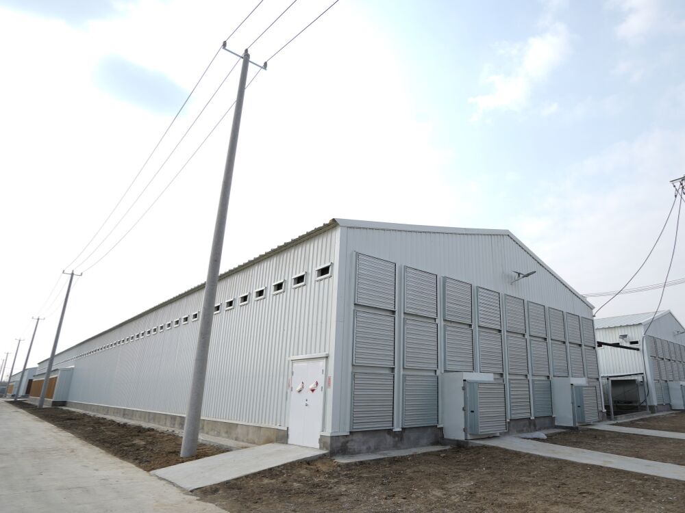 Prefab Poultry House for Layers Broilers and Breeders