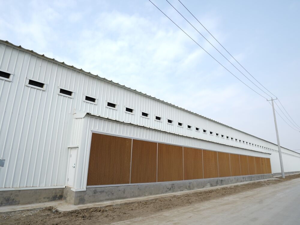 Prefab Poultry House for Layers Broilers and Breeders