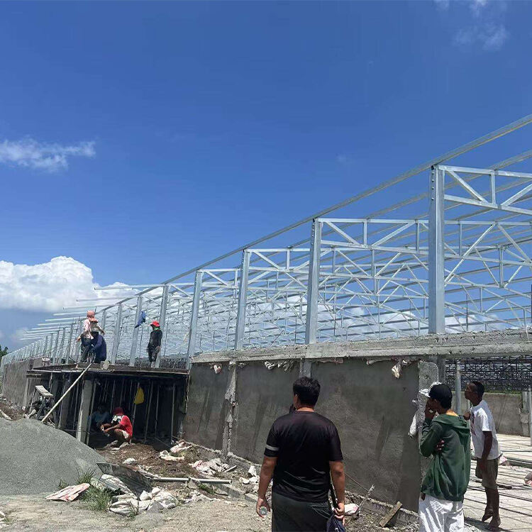 Projet de type sol surélevé pour poulets de chair à Quezon, Philippines