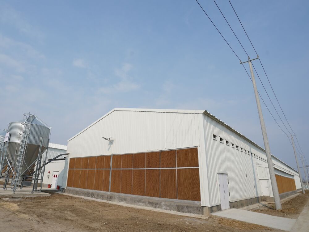 Prefab Poultry House for Layers Broilers and Breeders