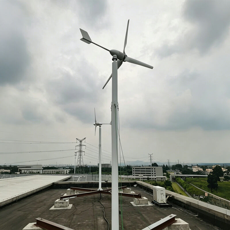 L Type Low Start-up Speed Horizontal Wind Turbine Generator