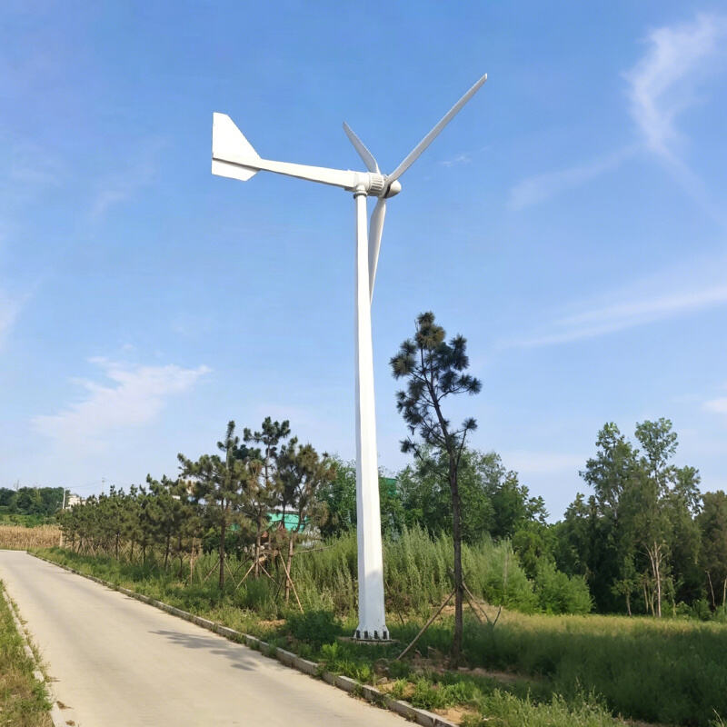 L Type Low Start-up Speed Horizontal Wind Turbine Generator