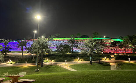 The effect of firefly lights on an outdoor lawn