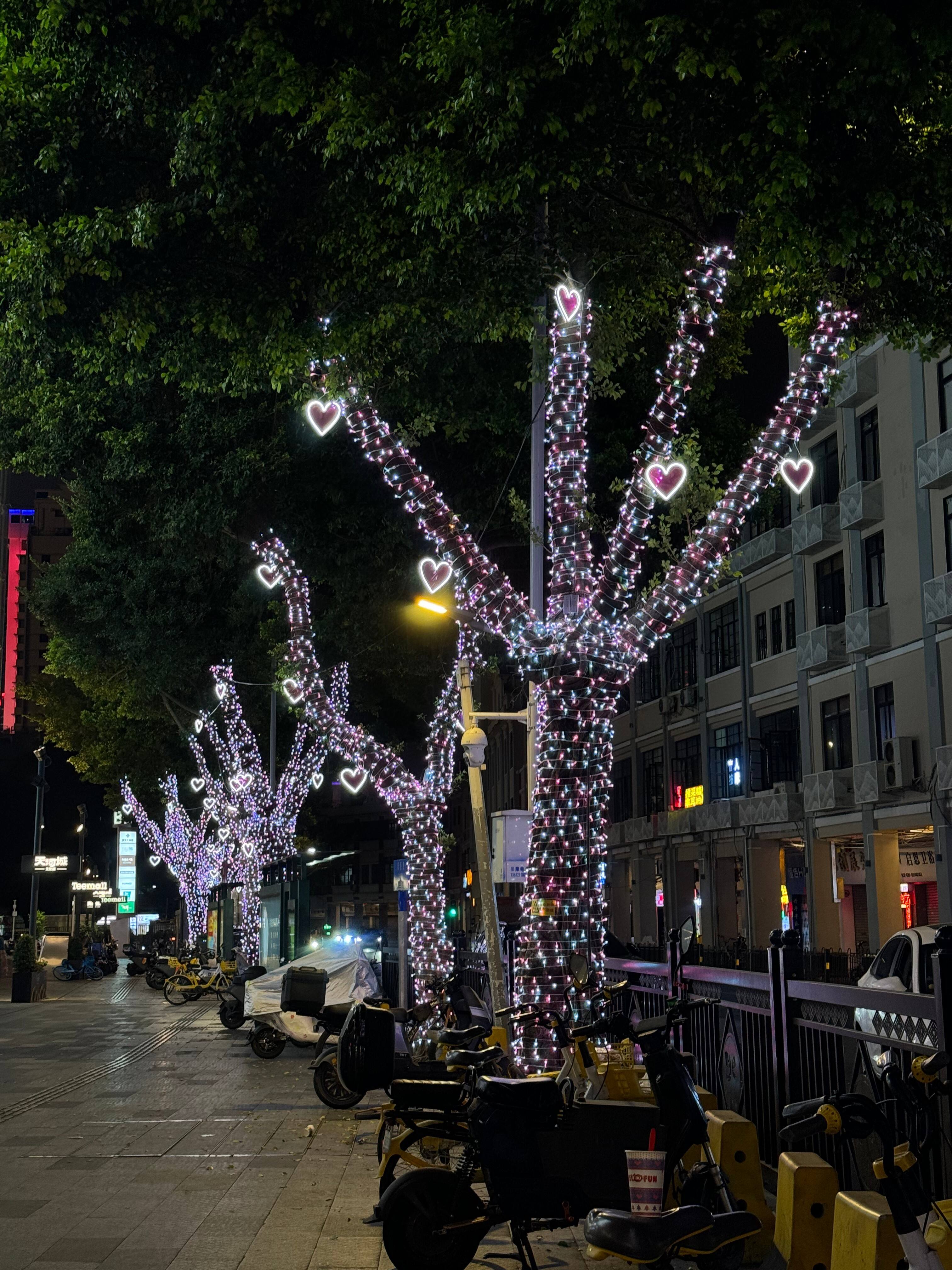 How to Choose the Best Coloured Christmas Tree Lights for Your Home?