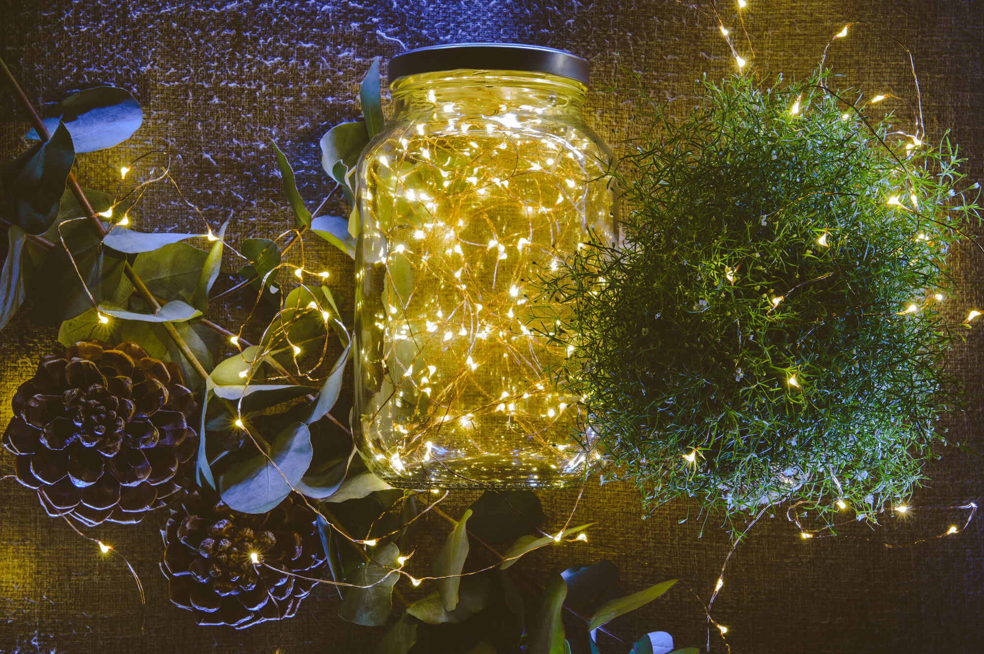 What Are the Trending Styles of Fairy Lights in 2023?