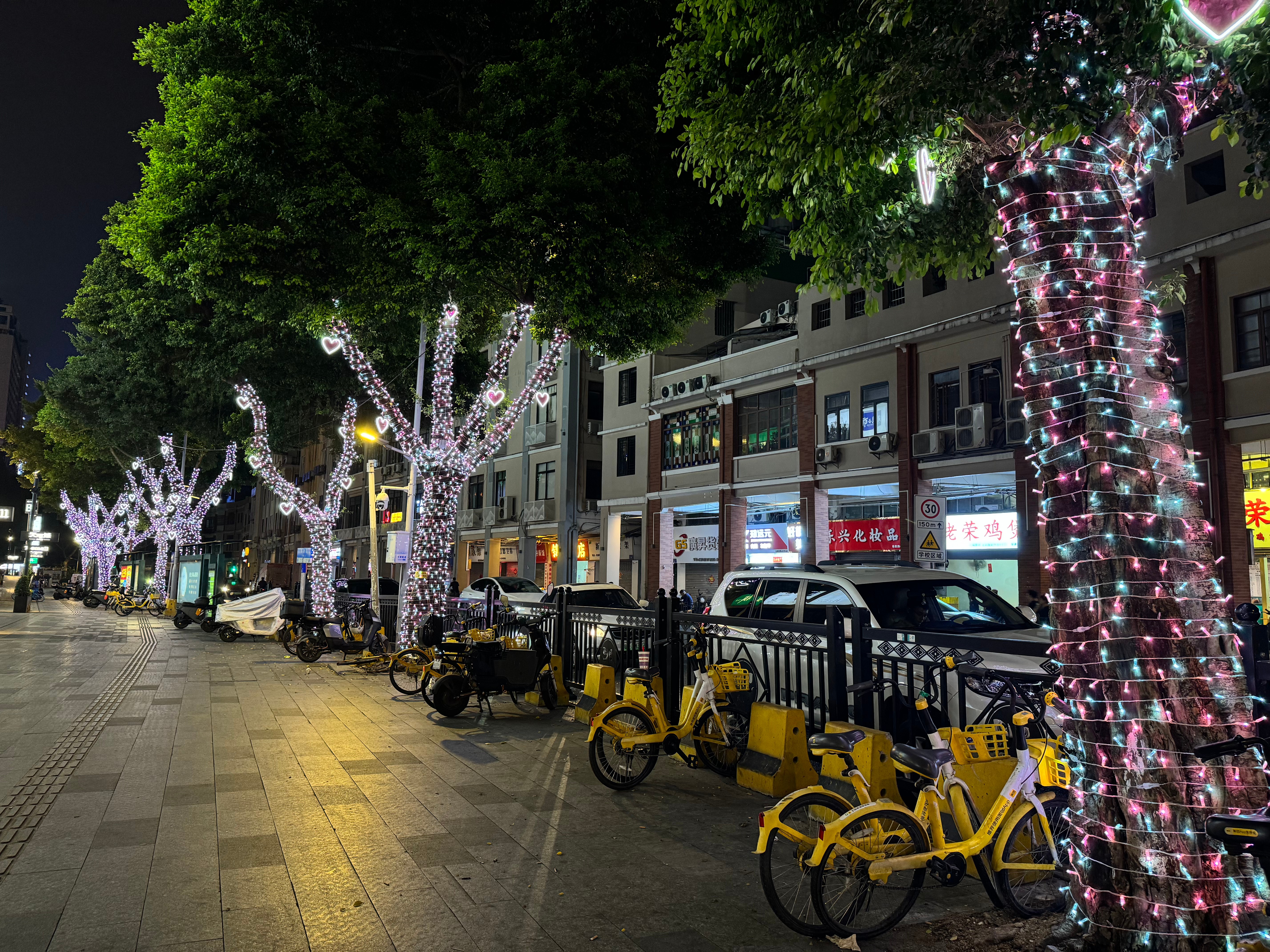 What Features Should You Look for in Quality Solar Christmas Tree Lights?