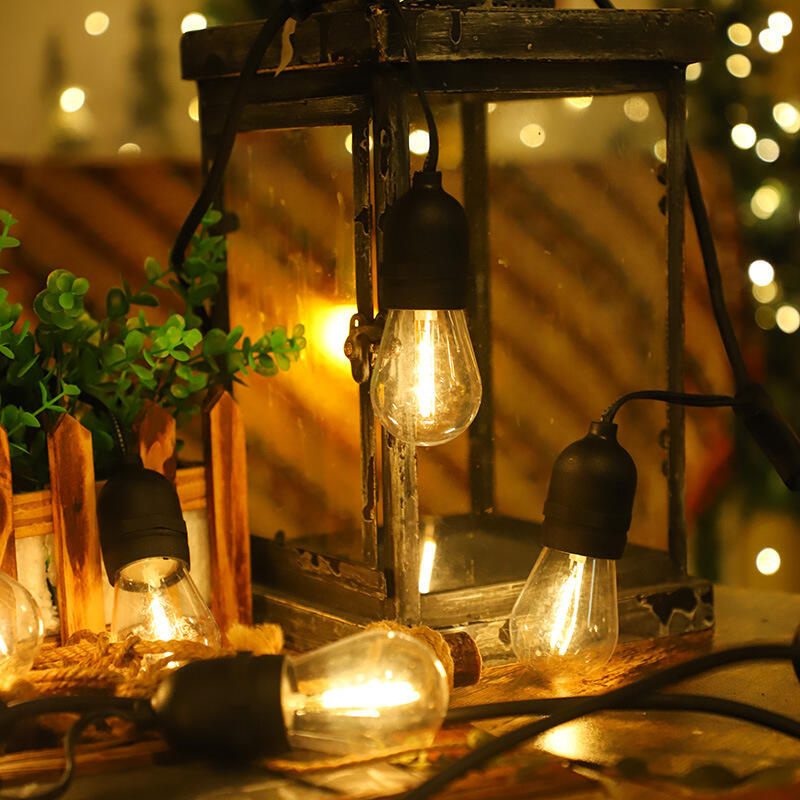 Where to Buy Affordable Christmas Festoon Lights in Bulk
