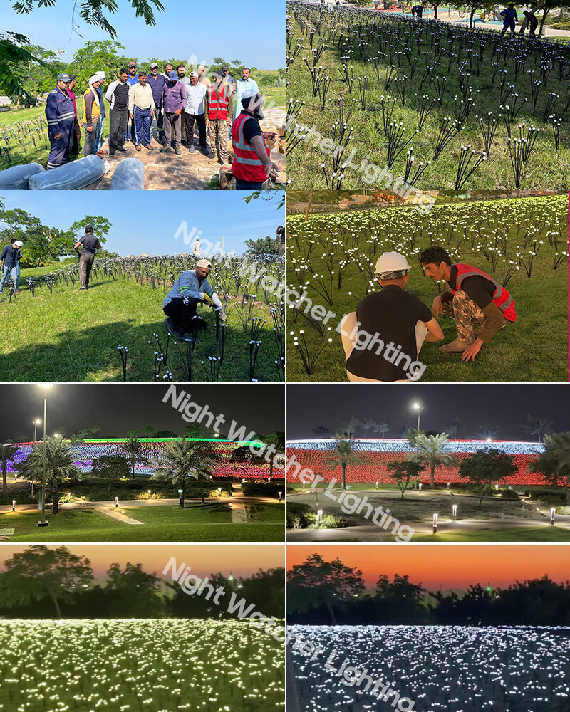 Saudi Park Illuminated by Night Watcher Lighting1.jpg