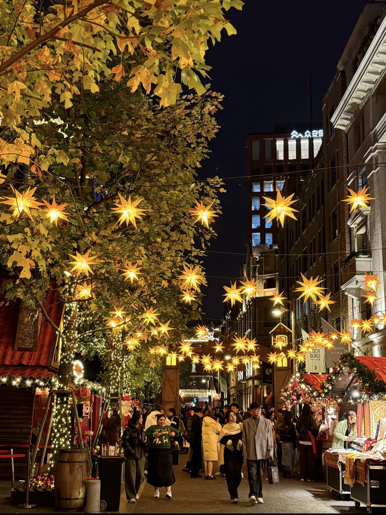 What Makes Solar Christmas Lights a Sustainable Choice for Holiday Lighting?