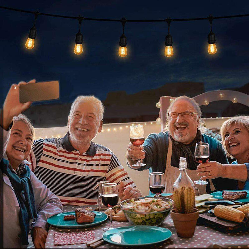 What Styles of Festoon Indoor Lights Are Trending in 2023?