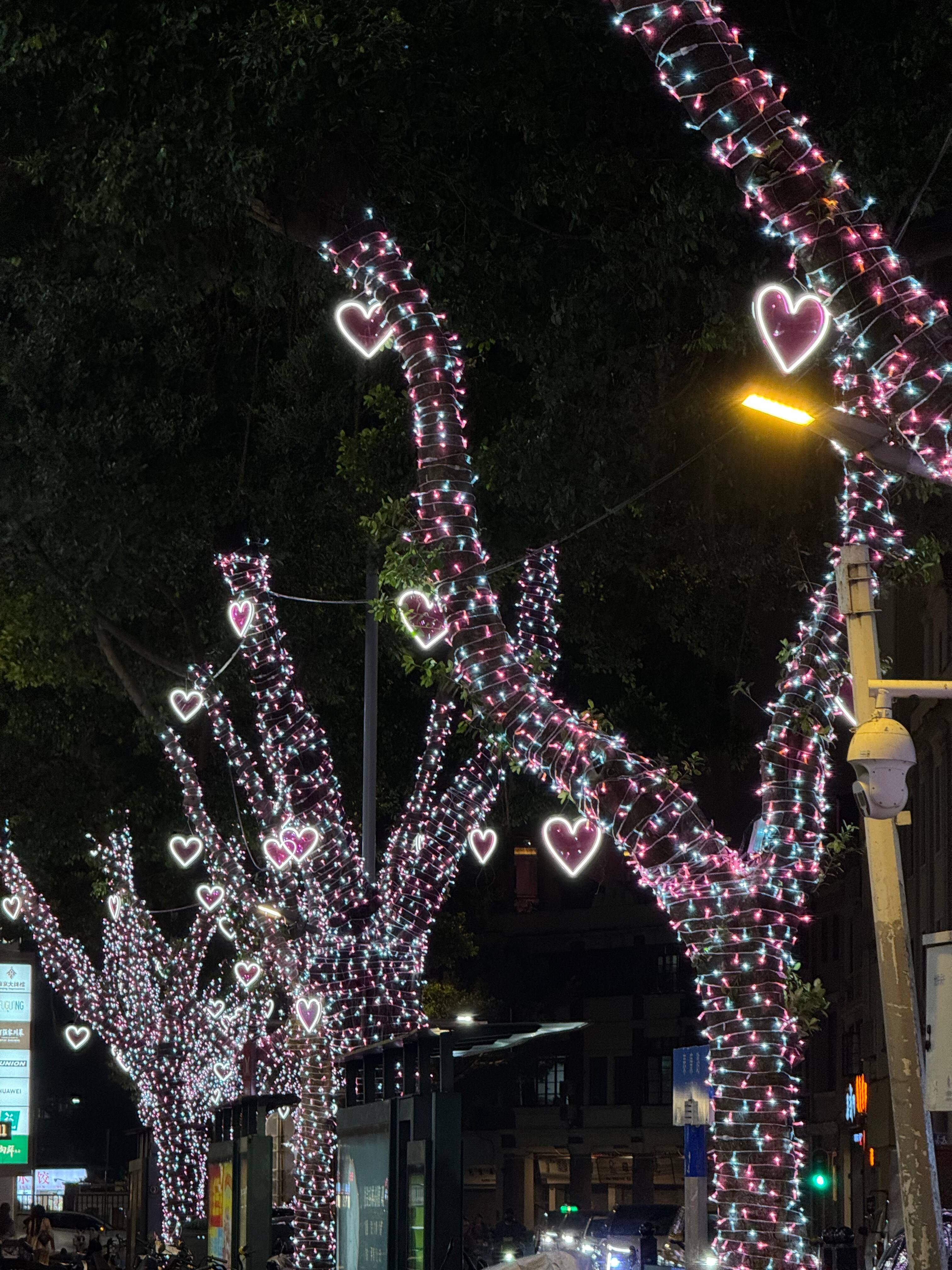 Where to Buy Bulk Outdoor Christmas Tree Lights for Your Business