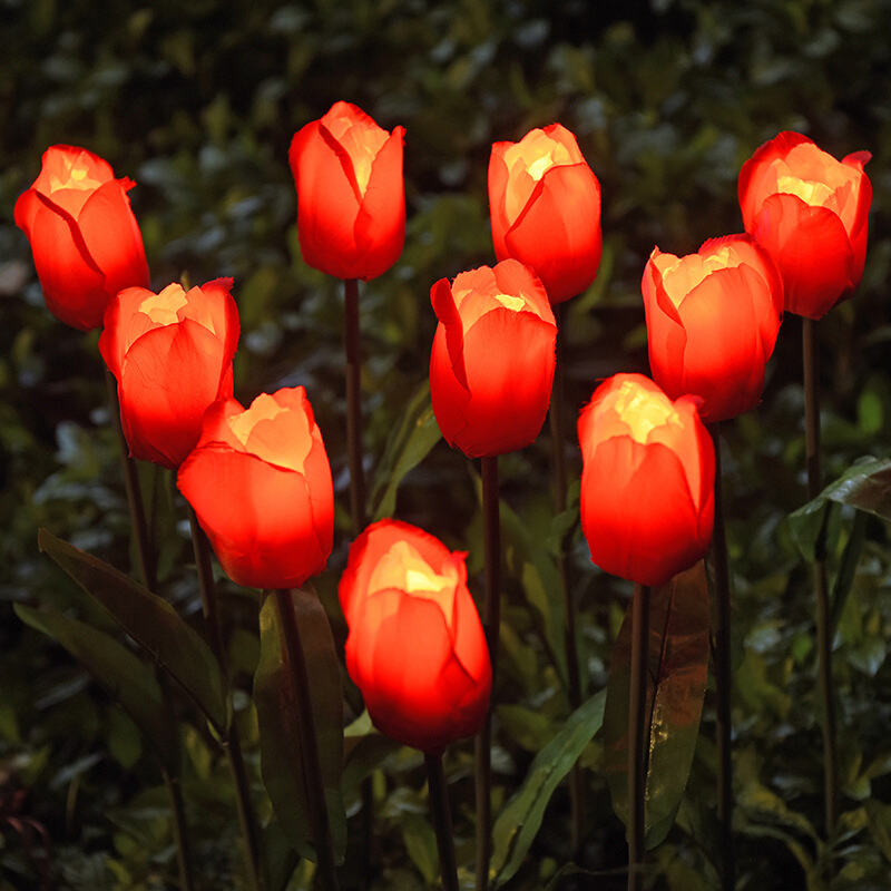 Solar Tulip Garden Light