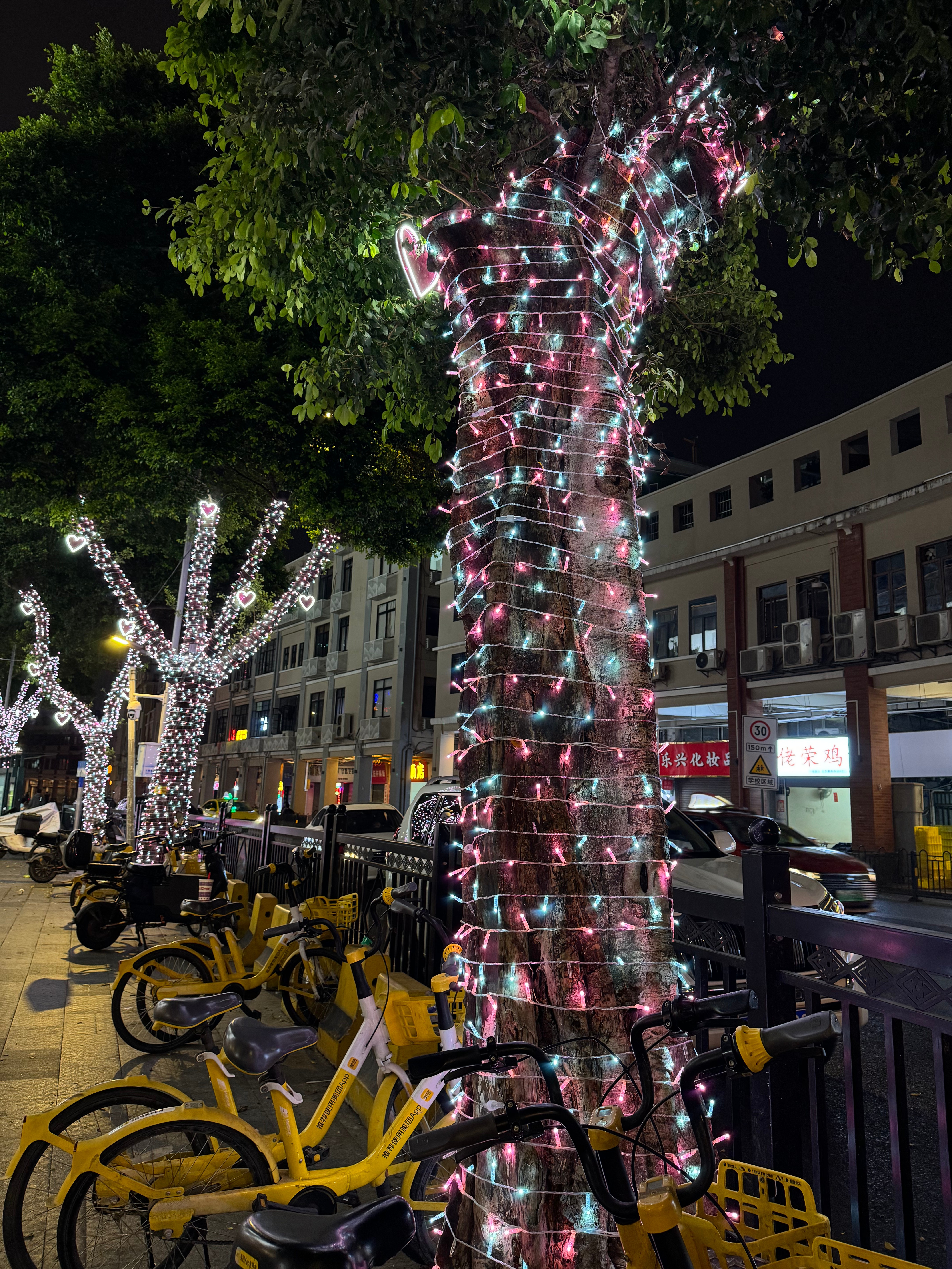 Where to Find Wholesale Coloured Christmas Tree Lights at Competitive Prices?