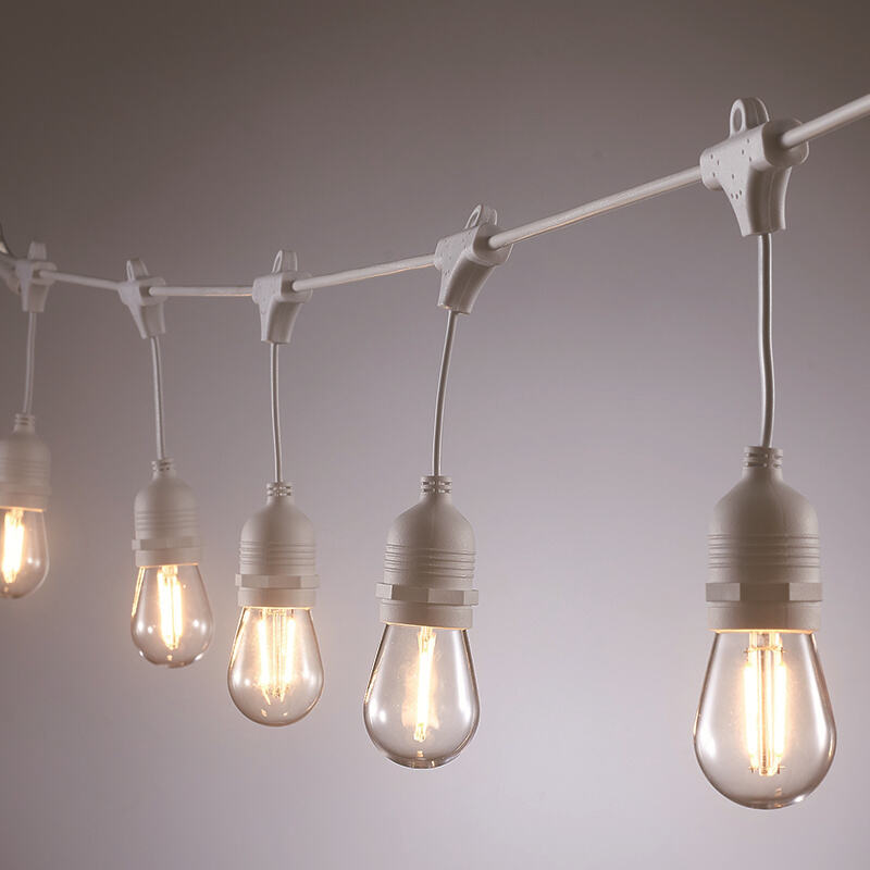 White Wire LED bulb Festoon String Light