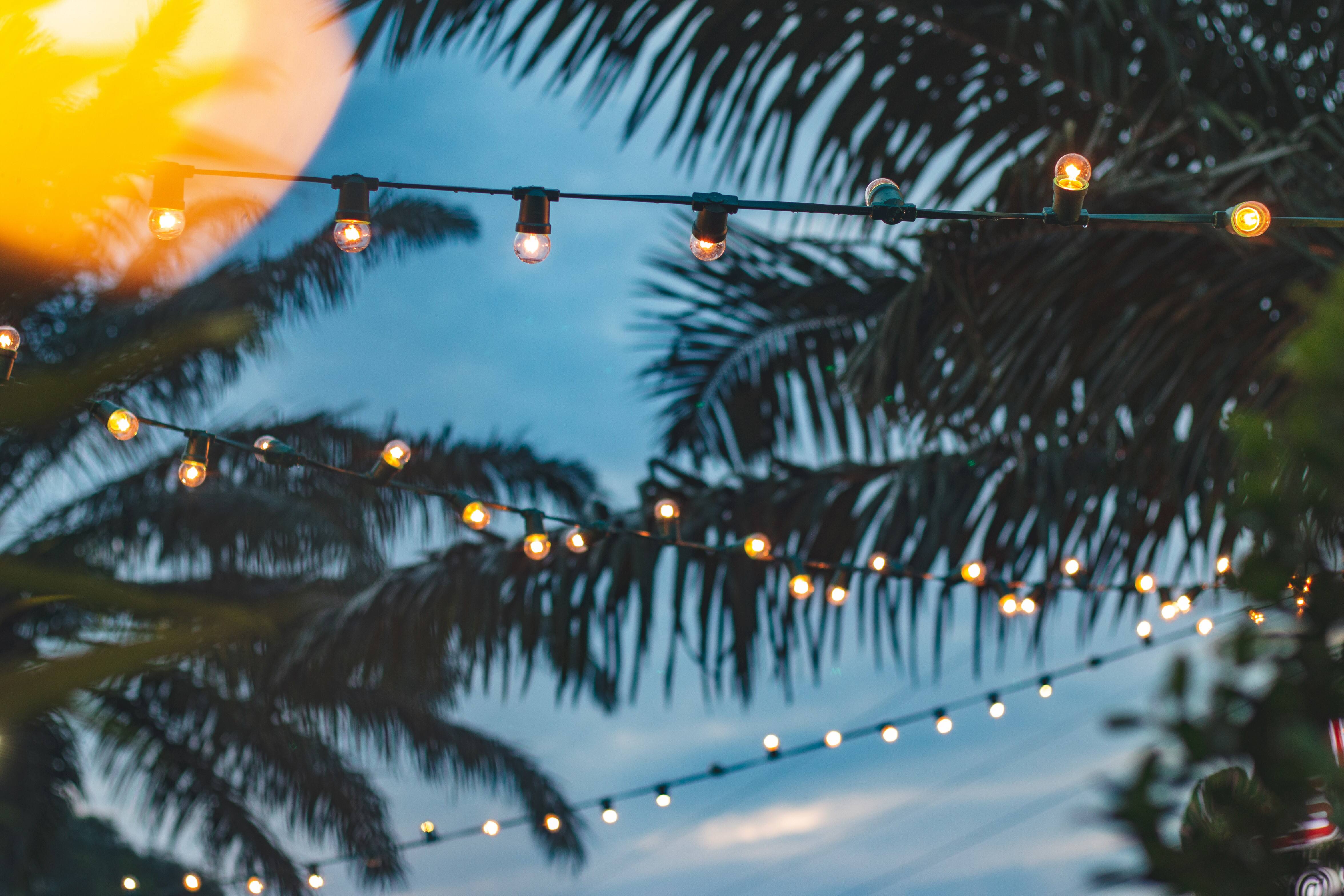 What Makes Festoon Lights Outdoor the Best Choice for Your Event?