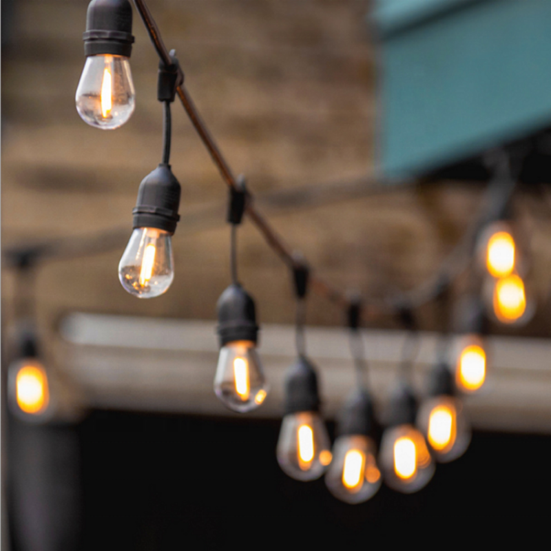 What Makes Festoon Lights Essential for Outdoor Events and Gatherings?