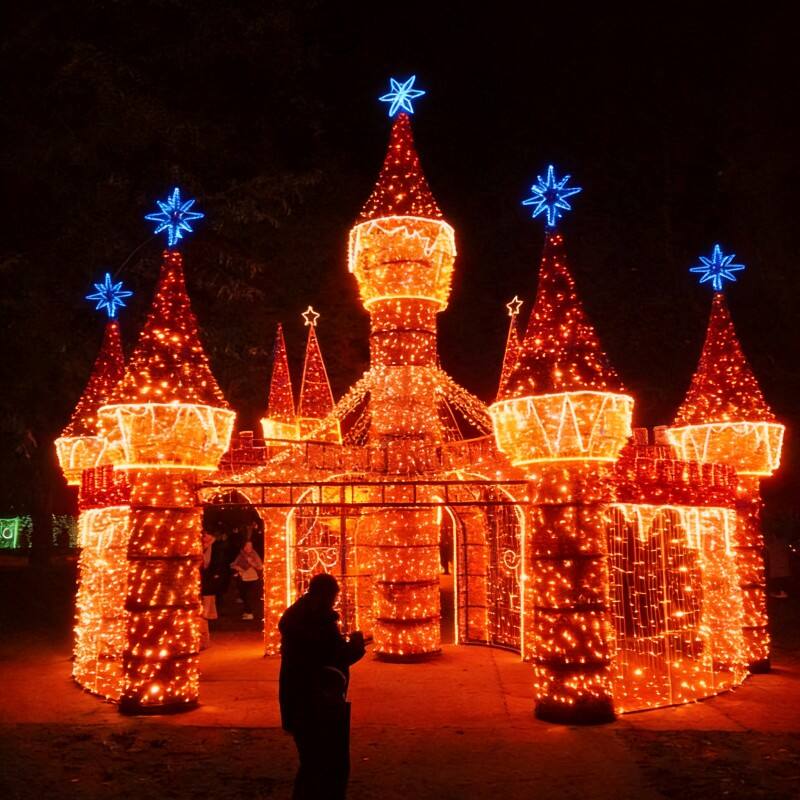 What Are the Top Features to Look for in Outdoor LED Decorative Lights?