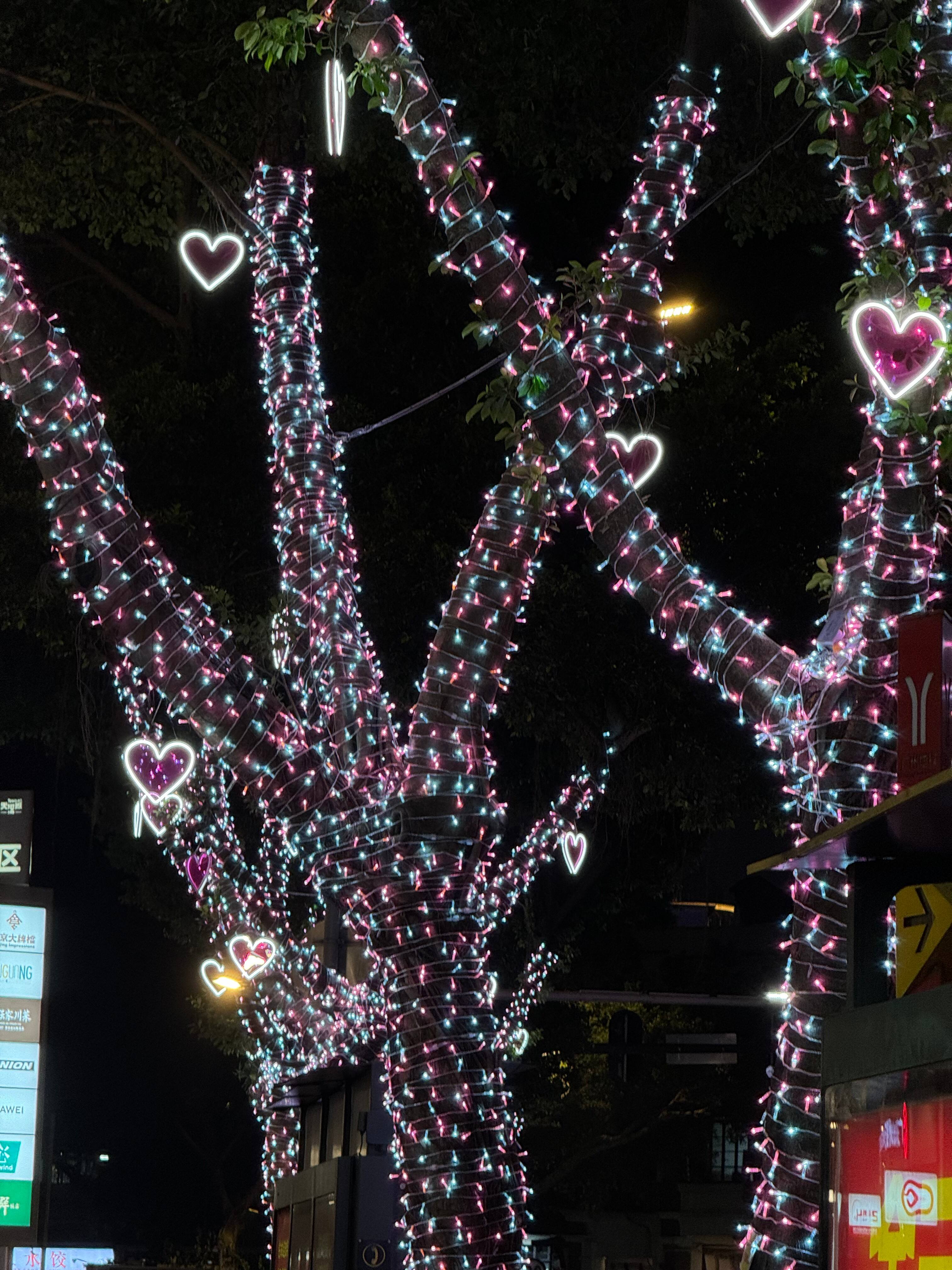 How to Create a Stunning Display with Outdoor Christmas Tree Lights