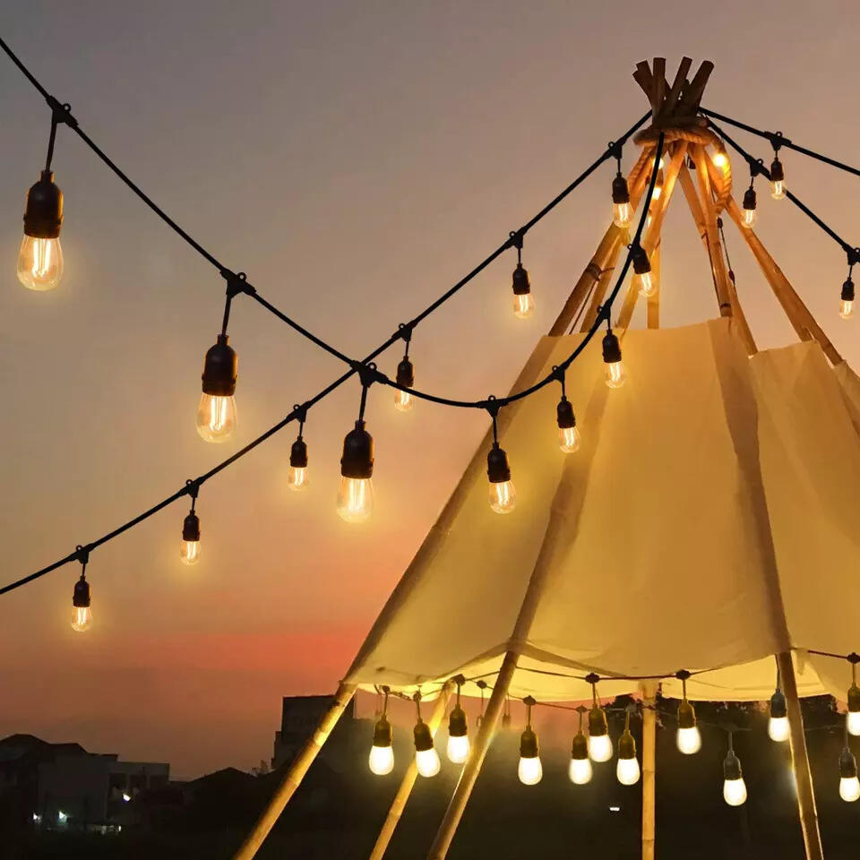 What Are the Most Common Issues with Outdoor Garden Festoon Lights?